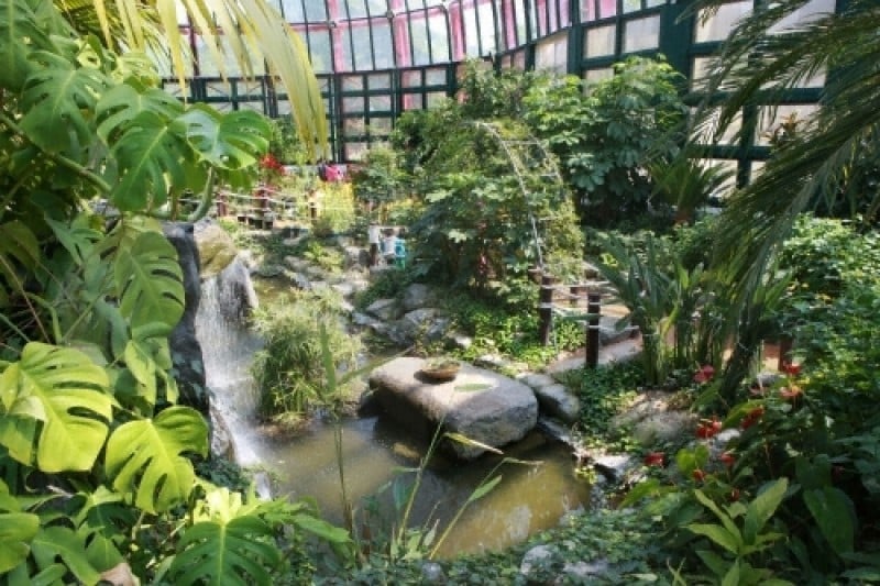 Namhae Butterfly Park  (18/20)