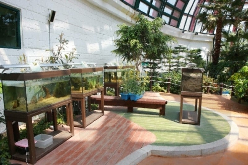 Namhae Butterfly Park  (19/20)