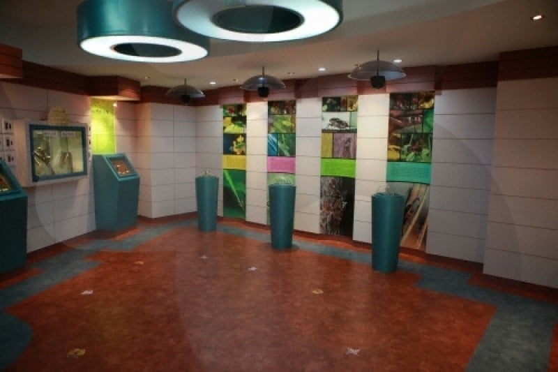 Namhae Butterfly Park  (20/20)