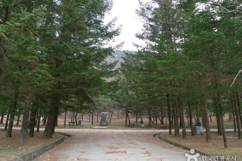 Songnisan National Park  (7/24)
