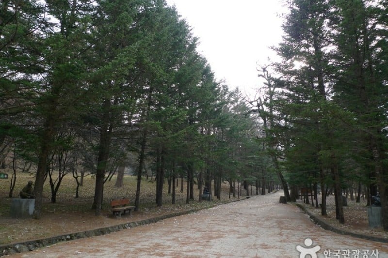 Songnisan National Park  (8/24)