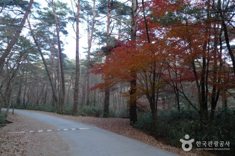 Songnisan National Park  (13/24)