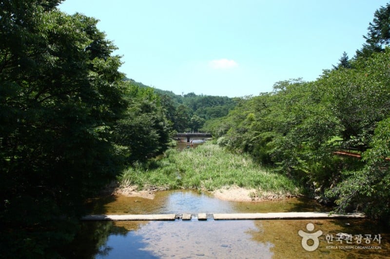Songnisan National Park  (20/24)