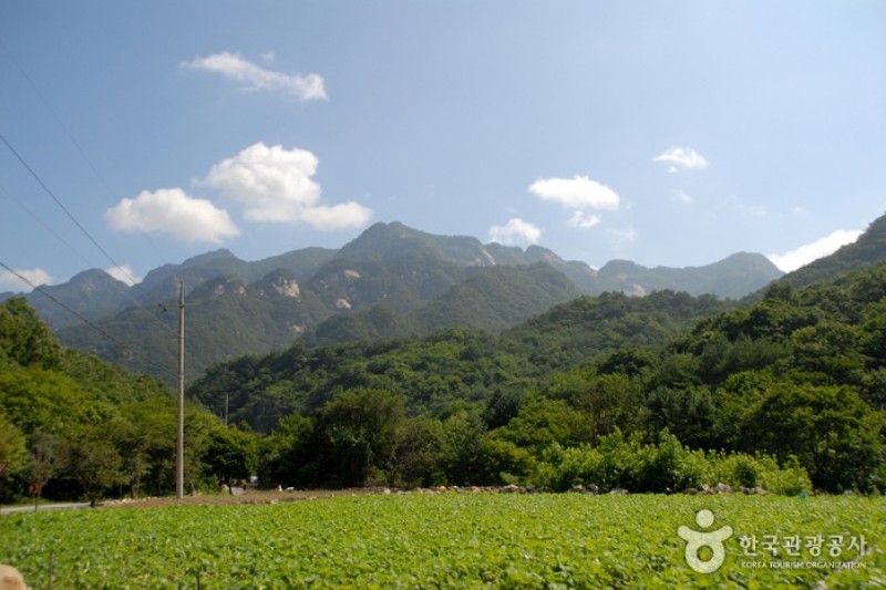 Woraksan National Park  (2/14)