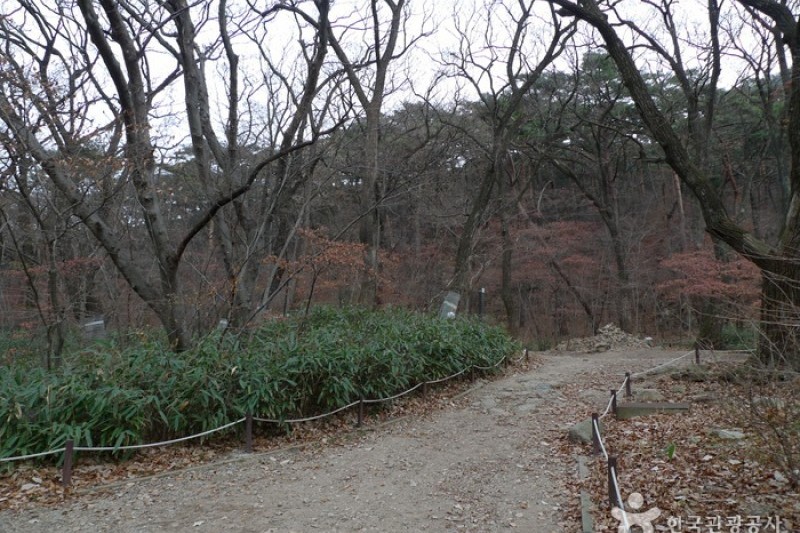 Beopjusa Temple  (2/30)