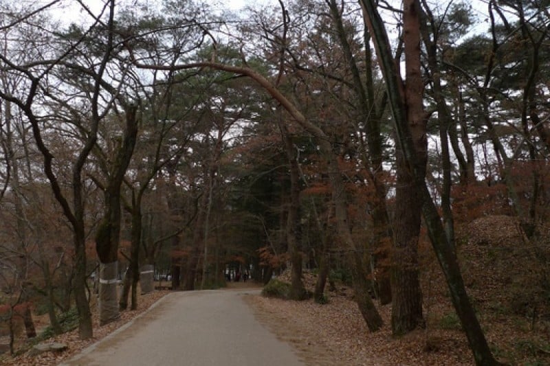 Beopjusa Temple  (5/30)