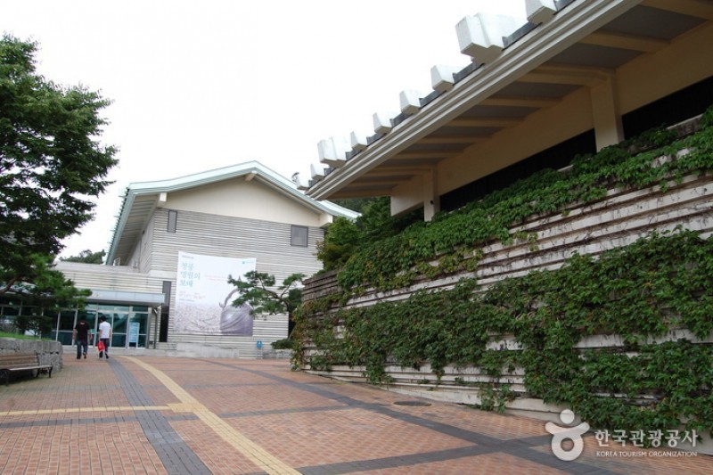 Cheongju National Museum  (5/14)
