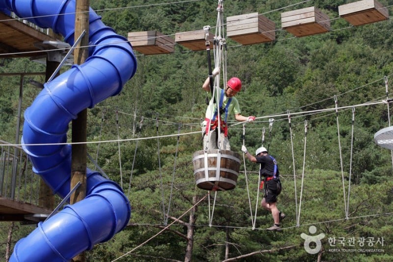 Cheongpung Land  (6/16)