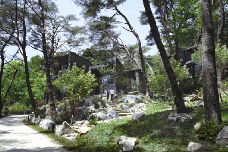 Resom Forest (리솜 포레스트) (1/9)