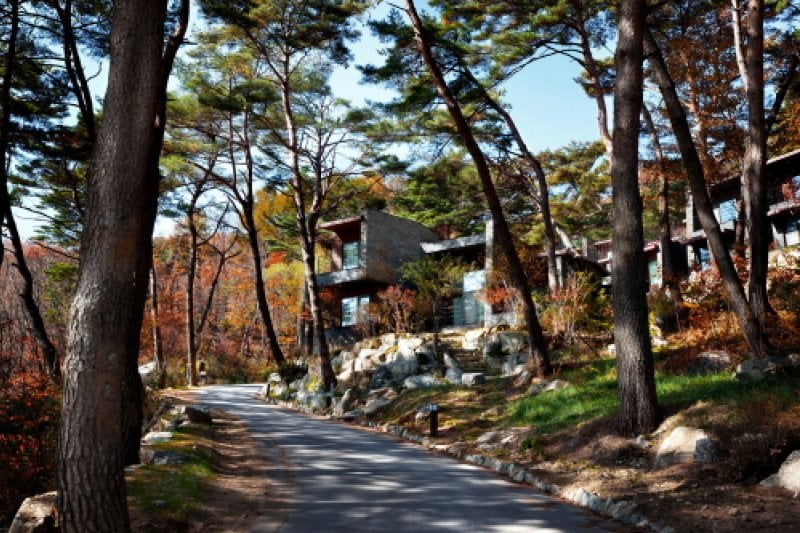 Resom Forest (리솜 포레스트) (3/9)