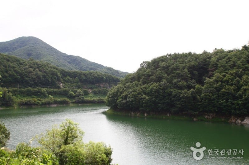 Cheongpunghoban Cherry Blossom Festival  (2/3)