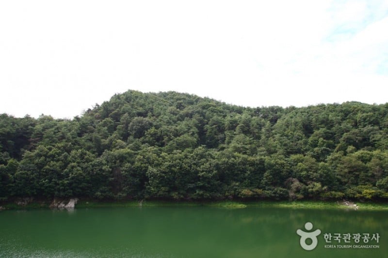 Cheongpunghoban Cherry Blossom Festival  (3/3)
