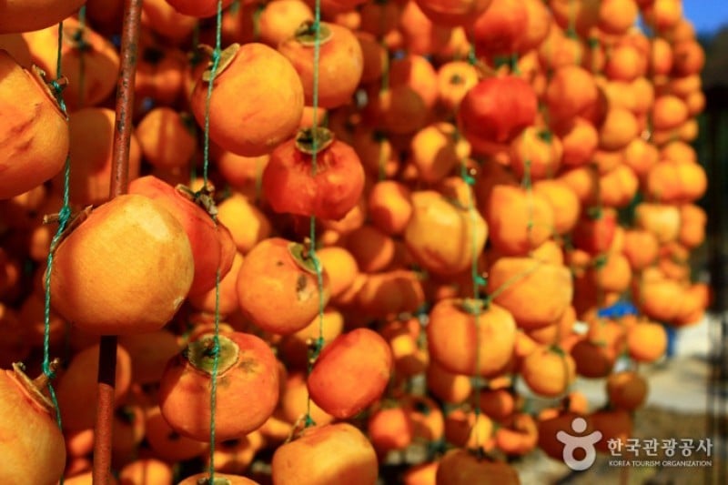 Yeongdong Dried Persimmons Festival  (1/3)