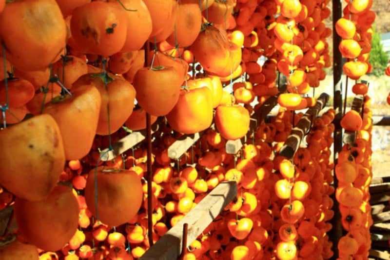 Yeongdong Dried Persimmons Festival  (2/3)