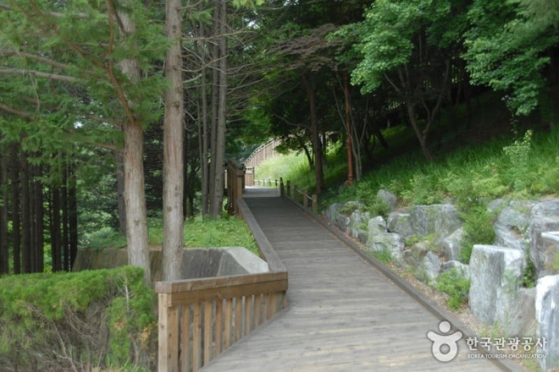Daecheong Dam  (4/11)