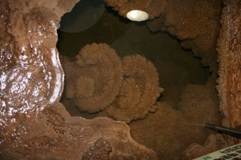 Cheondong Cave  (3/5)