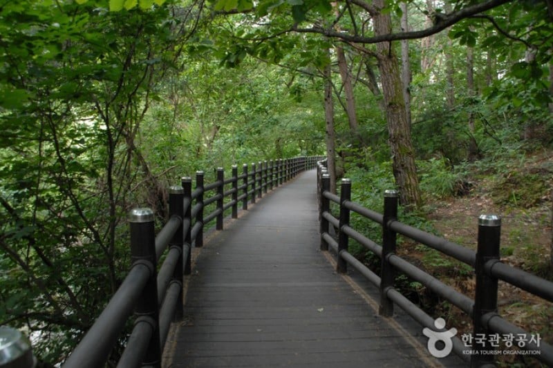 Sobaeksan National Park  (5/6)