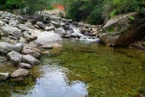 Darian Valley 