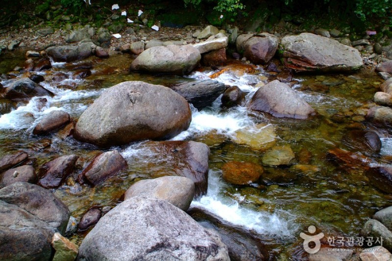 Darian Valley  (1/5)
