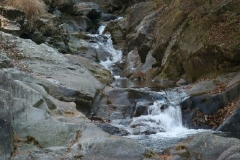Darian Valley  (3/5)
