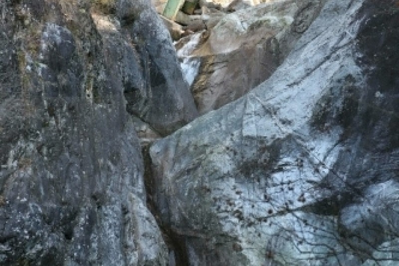 Darian Valley  (4/5)