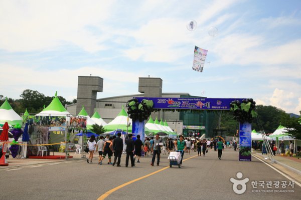 Yeongdong Grape Festival