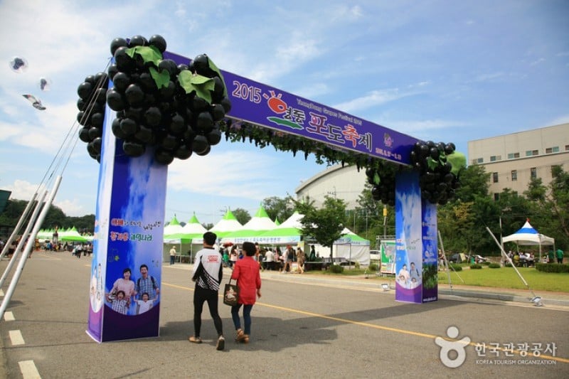 Yeongdong Grape Festival  (6/8)