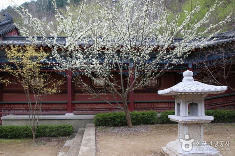 Ondal Tourist Park  (12/19)