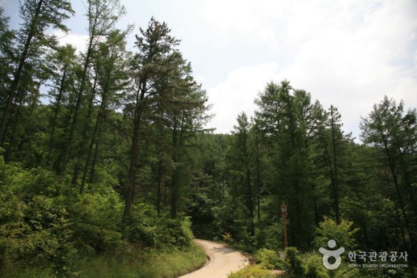 Songnisan Maltijae Recreational Forest