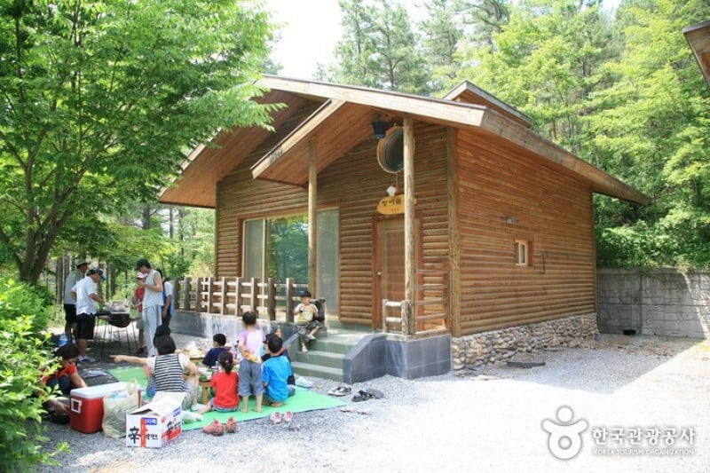 Songnisan Maltijae Recreational Forest  (7/11)