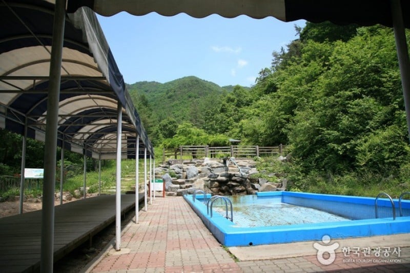 Songnisan Maltijae Recreational Forest  (8/11)