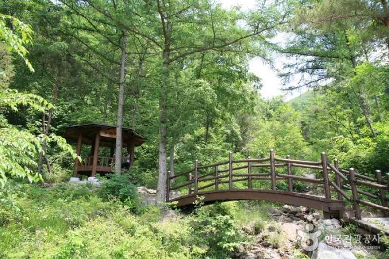 Songnisan Maltijae Recreational Forest  (9/11)