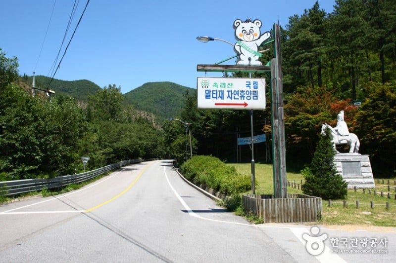 Songnisan Maltijae Recreational Forest  (10/11)