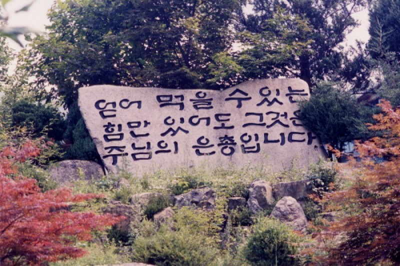 Kkottongnae  (3/8)