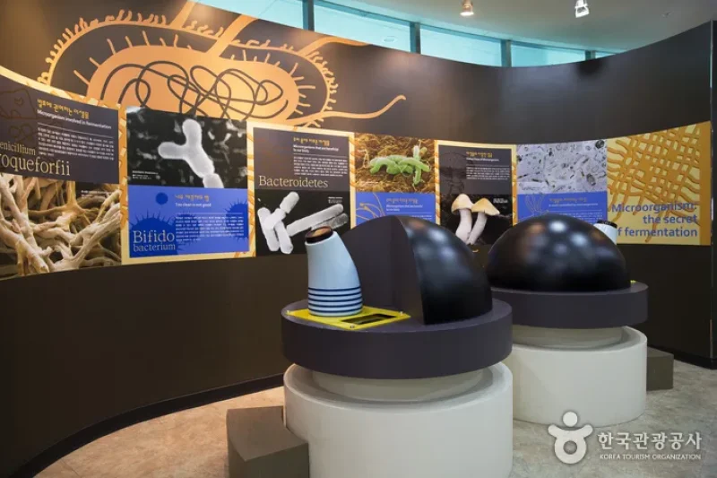 Jecheon Oriental Medicine Expo Park  (4/6)