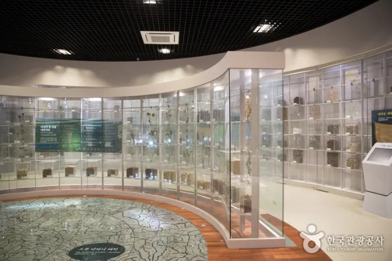 Jecheon Oriental Medicine Expo Park  (6/6)