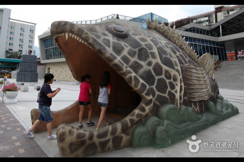 Danuri Aquarium  (1/9)