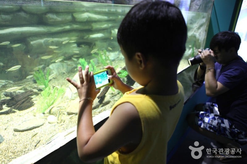 Danuri Aquarium  (2/9)