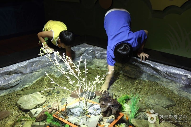 Danuri Aquarium  (7/9)