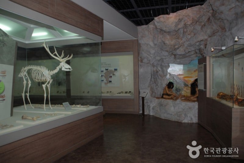 Suyanggae Prehistory Museum  (2/5)