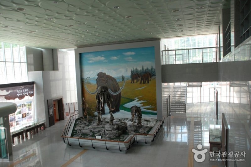 Suyanggae Prehistory Museum  (4/5)