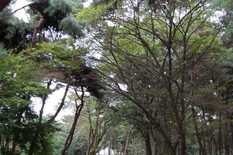 Tangeumdae Terrace &amp; Park  (2/15)