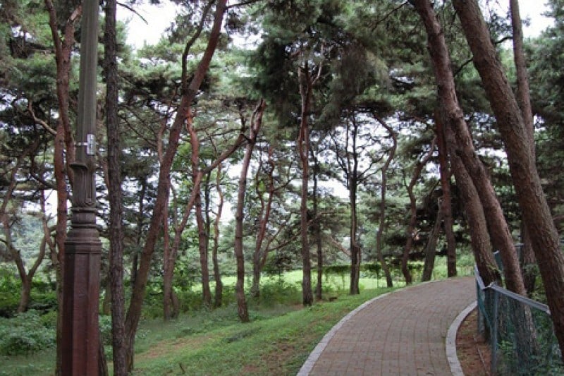 Tangeumdae Terrace &amp; Park  (5/15)