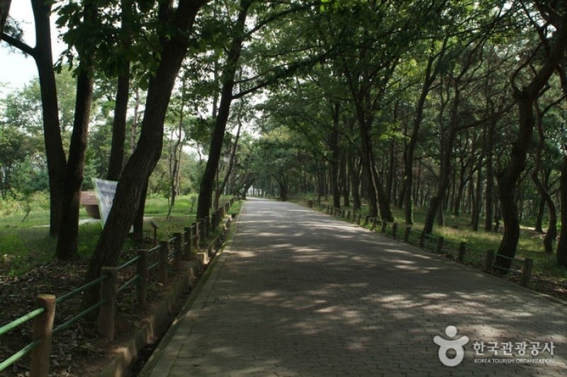 Tangeumdae Terrace &amp; Park  (9/15)