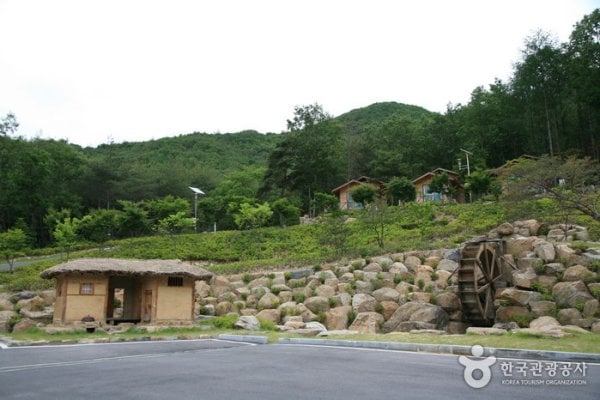 Soseonam Natural Forest