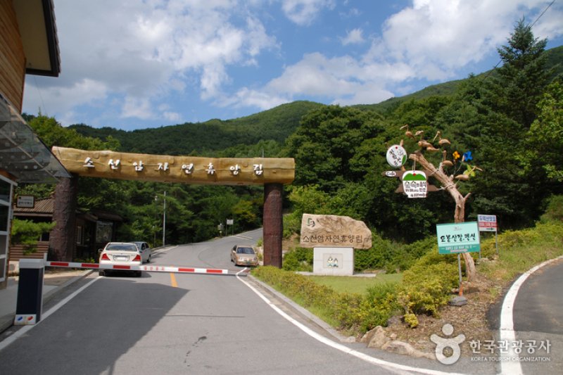 Soseonam Natural Forest  (5/14)