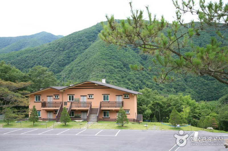 Soseonam Natural Forest  (7/14)