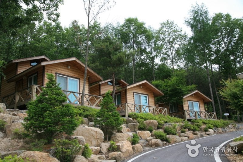 Soseonam Natural Forest  (11/14)