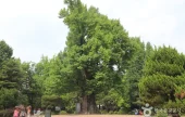 Jungang Park 