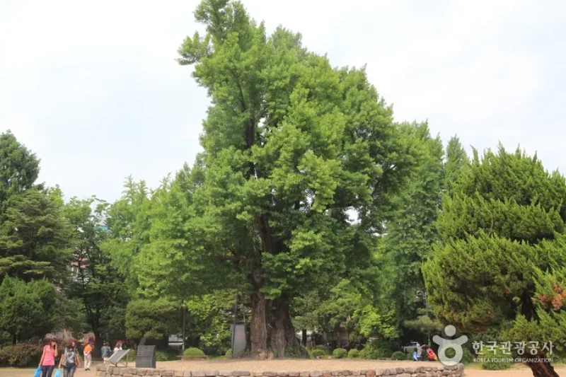 Jungang Park  (1/14)